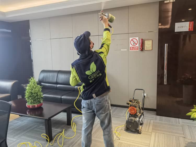 武汉冬除醛：两盆绿植就管用？