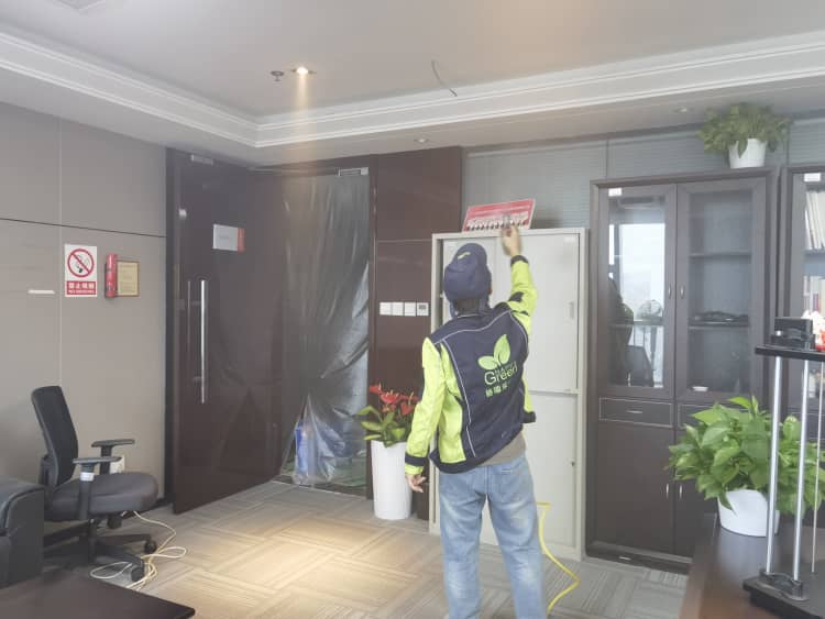 武汉冬除醛：两盆绿植就管用？