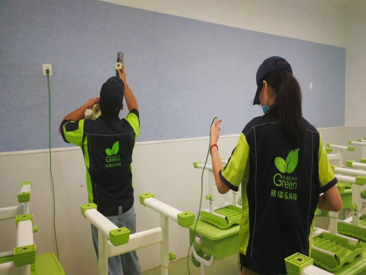 武汉除甲醛，找格瑞乐真扎实！