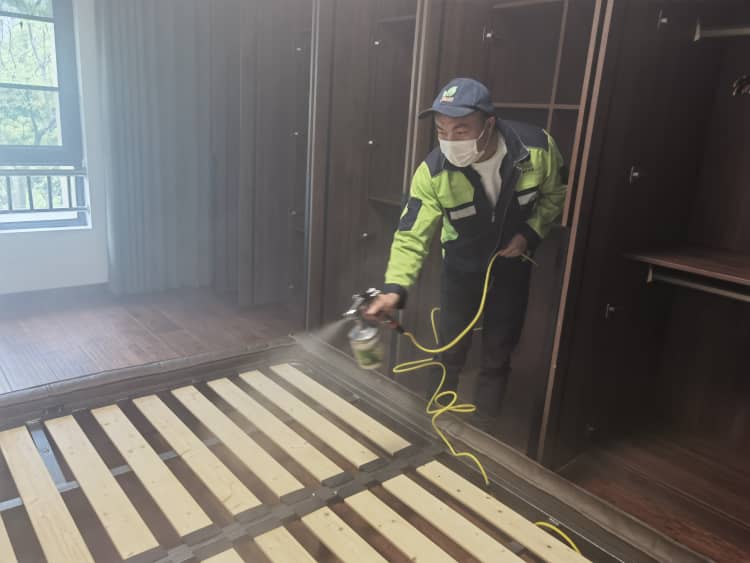 武汉专业除甲醛公司